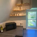 公寓 Gemuetliche Rustikale Mit Kamin Und Optionalem Whirlpool