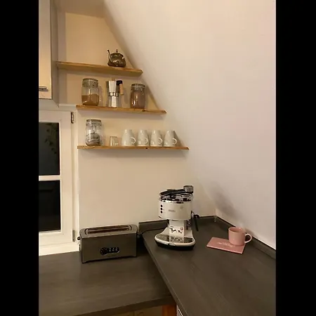 Gemuetliche Rustikale Mit Kamin Und Optionalem Whirlpool Apartment *
