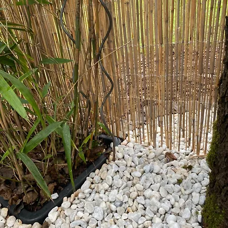 Gemuetliche Rustikale Mit Kamin Und Optionalem Whirlpool * Bad Sobernheim